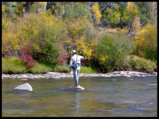 The Colorado River Image